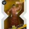 Figura de accion WWE nxt.