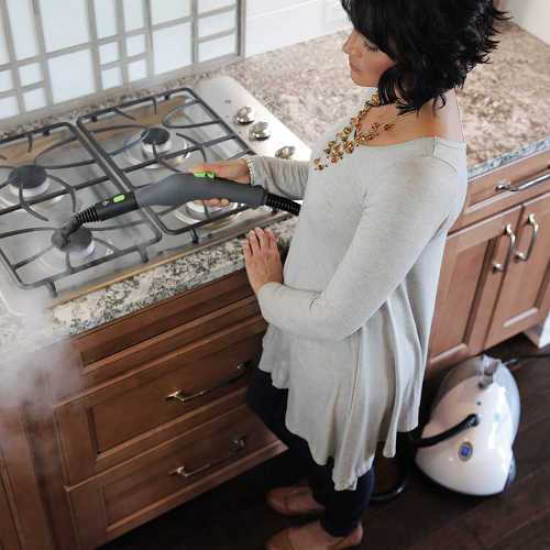 Limpiador a Vapor - Imagen 2