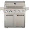 Asador De Gas 5 Quemadores Marca Singateur