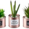 Macetas con plantas artificiales