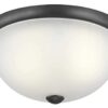 Lampara de techo de dos luces. Marca Zeyu