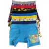 5 boxers para niño talla 6 de pokemon