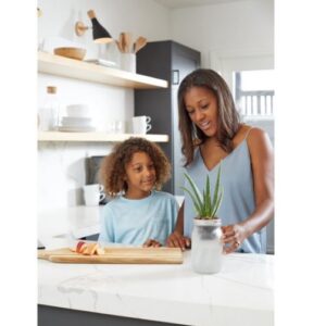 Alternative view of Kit de cultivos de suculentas marca Back To The Roots