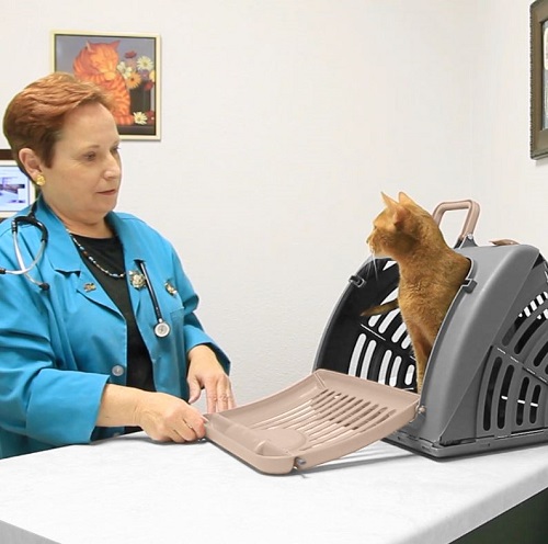 Transportadora para gato Marca Kitty City - Imagen 2