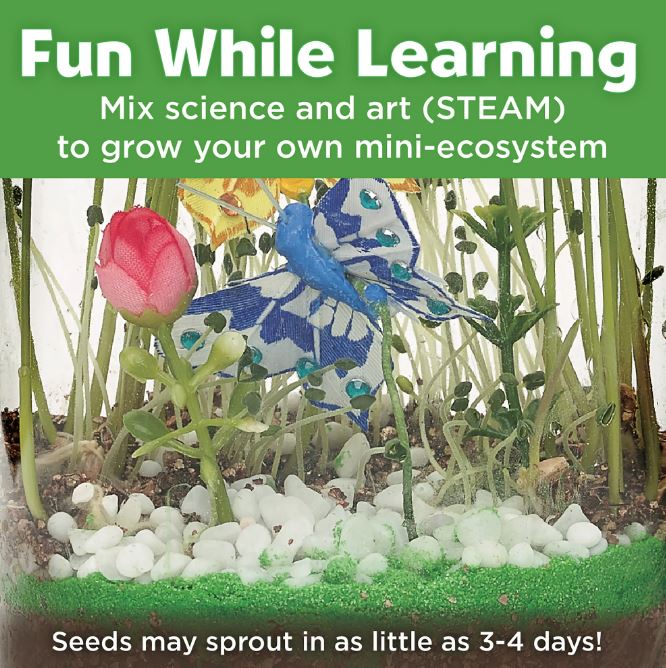 Kit de manualidades para niños y niñas marca Sparkle N Glow Butterfly Terrarium - Imagen 4