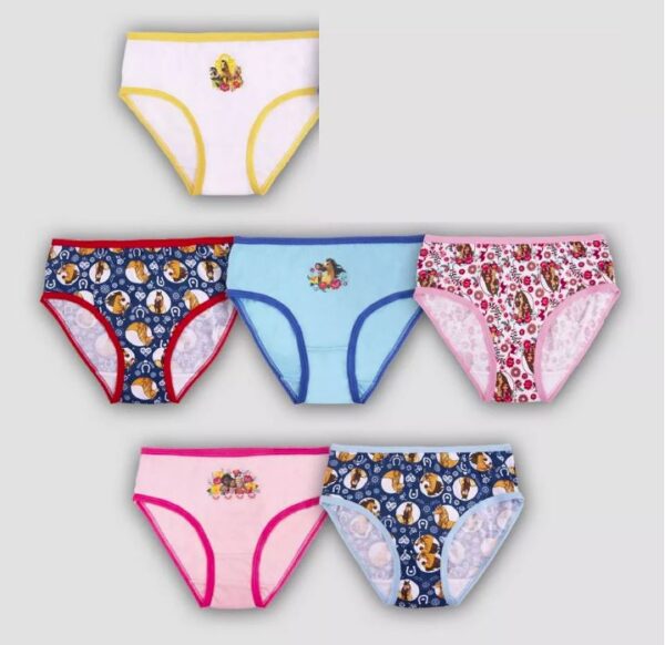Paquete de 6 calzoncillos para niñas talla 8 marca Spirit Riding Free