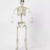 Esqueleto decorativo para halloween de 60 pulgadas - Hyde & EEK! Boutique