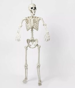 Esqueleto decorativo para halloween de 60 pulgadas - Hyde & EEK! Boutique