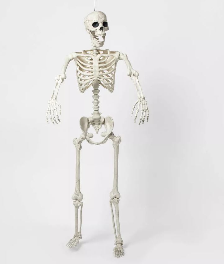 Esqueleto decorativo para halloween de 60 pulgadas - Hyde & EEK! Boutique