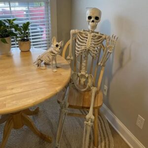 Alternative view of Esqueleto decorativo para halloween de 60 pulgadas - Hyde & EEK! Boutique