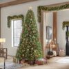 Arbol de navidad de 9 ft preiluminado multicolor - Barbour