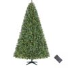 Árbol de Navidad Wesley con Luces LED Multicolor de 7,5 ft