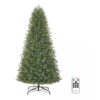 Árbol de Navidad Jackson Noble LED multicolor  9 ft - Home Accentes