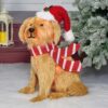 Decorativo navideño de mascota iluminada de 24 in - HolidayTime