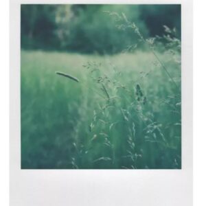 Alternative view of Paquete de películas para Polaroid X-40 I-Type