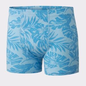 Alternative view of Paquete de 5 boxer para niño - Marca Hanes