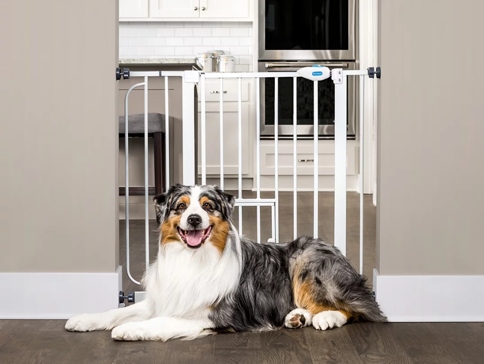 Reja para mascotas extra ancha con puerta -Carlson pet - Imagen 2