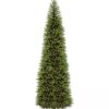 Árbol de Navidad Kingswood sin iluminación de 12 pies - National Tree Company