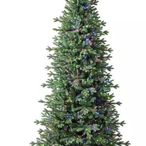 Árbol de Navidad Linden Fir 7 pies  multicolor -Member's Mark