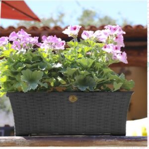 Alternative view of Jardinera de plástico diseño rattan, color gris oxford