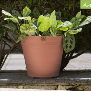 Alternative view of Maceta Artesanal de 14 cm color Barro