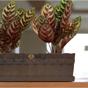 Alternative view of Maceta Jardinera de 44 cm color chocolate