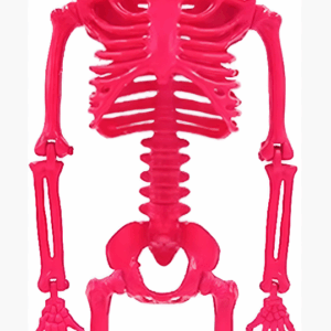 Alternative view of Decoración de Hallowen de Esqueleto Rosa Fucsia de 60" -  Hyde and EEK!