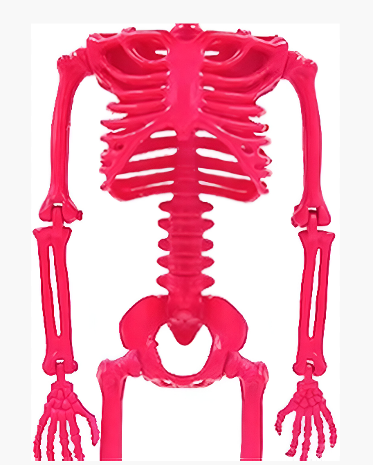 Decoración de Hallowen de Esqueleto Rosa Fucsia de 60" - Hyde and EEK! - Imagen 2