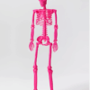 Decoración de Hallowen de Esqueleto Rosa Fucsia de 60" -  Hyde and EEK!