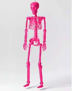 Decoración de Hallowen de Esqueleto Rosa Fucsia de 60" -  Hyde and EEK!