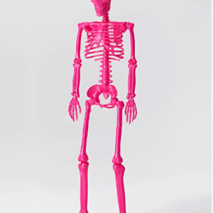 Decoración de Hallowen de Esqueleto Rosa Fucsia de 60" -  Hyde and EEK!