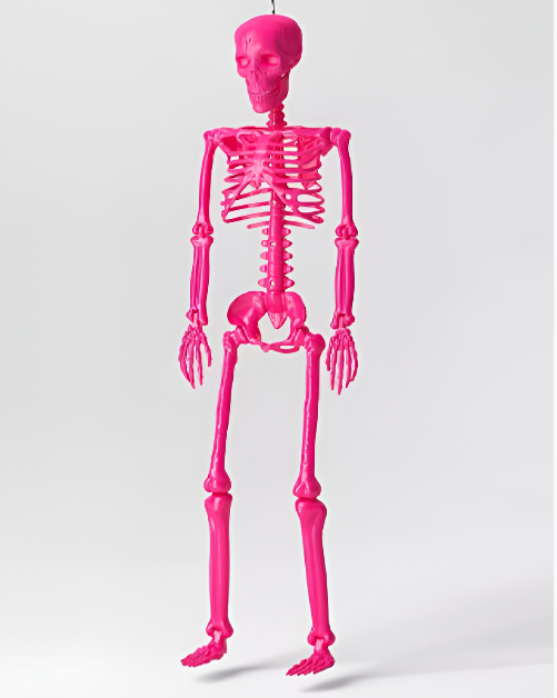 Decoración de Hallowen de Esqueleto Rosa Fucsia de 60" - Hyde and EEK!