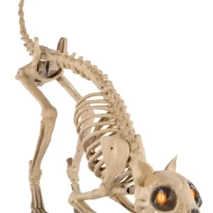 Decoración para Halloween de Gato esquelético grande de 5 ft