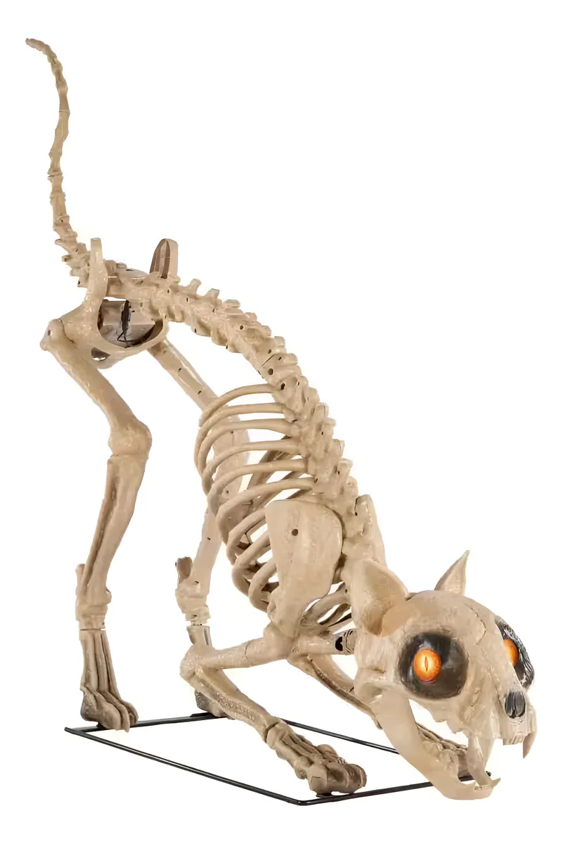 Decoración para Halloween de Gato esquelético grande de 5 ft