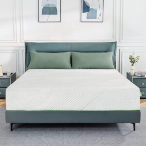 Colchón de Memory Foam de 12 pulgadas tamaño Queen -Novilla