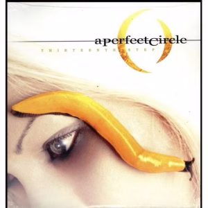 Disco de Vinilo "Thirteenth Step" -A Perfect Circle