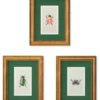 Juego de 3 cuadros decorativos de 11" x 14" con diseño de insectos -Rifle Paper