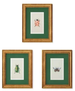 Juego de 3 cuadros decorativos de 11" x 14" con diseño de insectos -Rifle Paper