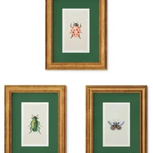 Juego de 3 cuadros decorativos de 11" x 14" con diseño de insectos -Rifle Paper