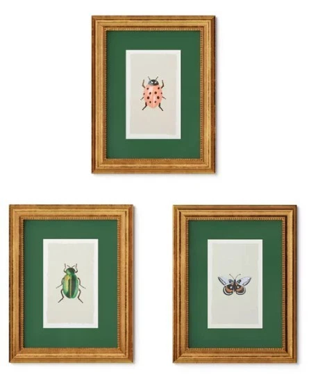 Juego de 3 cuadros decorativos de 11" x 14" con diseño de insectos -Rifle Paper