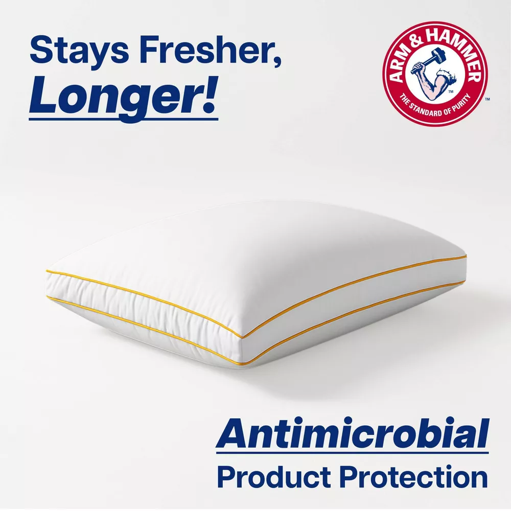 Almohada de 46 x 66 cm -Arm & Hammer - Imagen 3